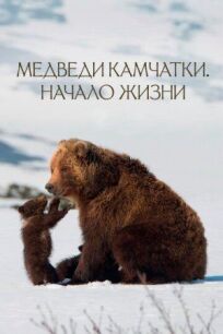 Постер к Медведи Камчатки. Начало жизни бесплатно