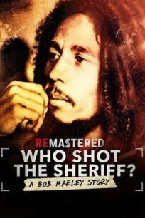 Постер к Новое звучание. Кто застрелил Боба Марли? бесплатно