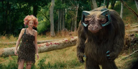 В стране фей — кадр 12