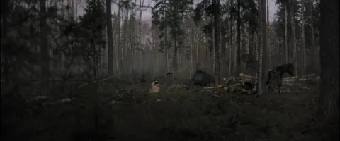 Естественный свет — кадр 4