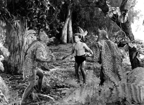 Тарзан и женщина-леопард — кадр 2