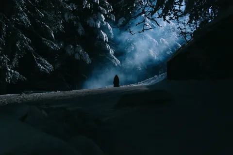 Фильм 4439979 — кадр 7