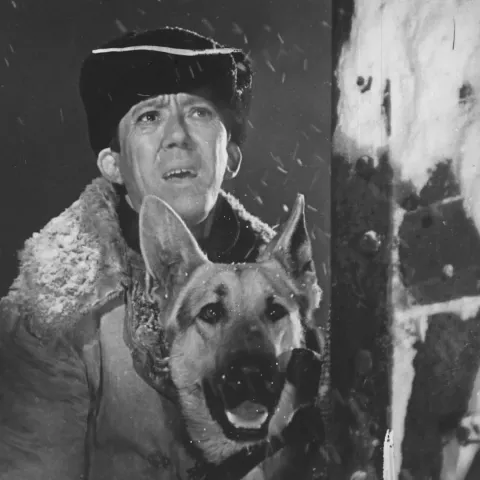 Ко мне, Мухтар! — кадр 4