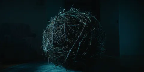 Фильм 4696266 — кадр 12