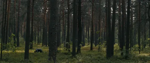 Правда — кадр 8