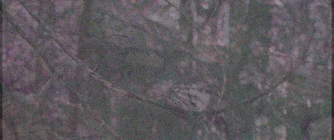 Фильм 5215871 — кадр 8
