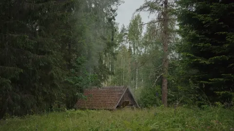 Фильм 5250091 — кадр 8