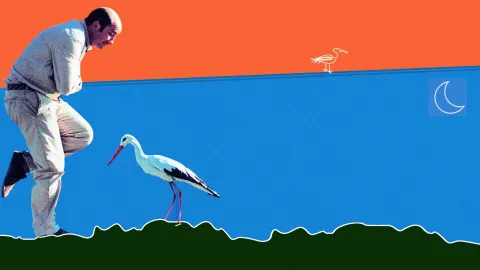 Фильм 55376 — кадр 1