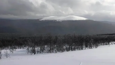 Фильм 669941 — кадр 6