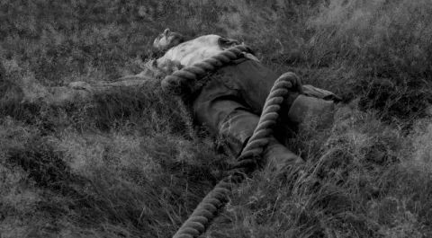 Поле в Англии — кадр 7