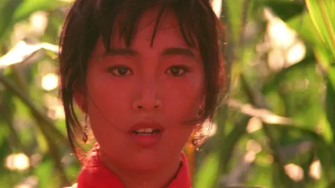 Красный гаолян — кадр 7