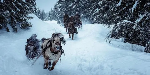 Биркебейнеры — кадр 9