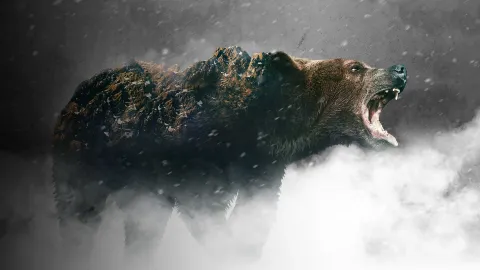 Фильм 929690 — кадр 10