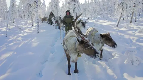 Фильм 958530 — кадр 5