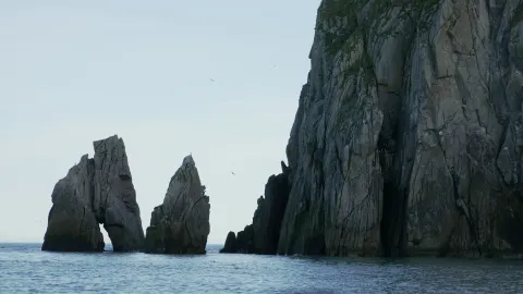 Фильм 958530 — кадр 7