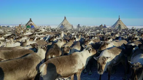 Фильм 958530 — кадр 11
