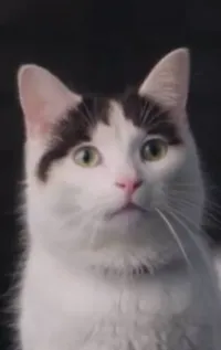 Нико