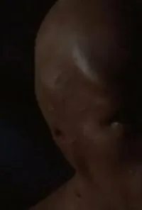 Дэн Блом
