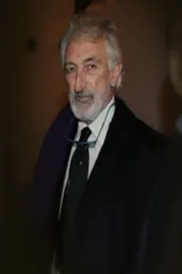 Флавио Могерини