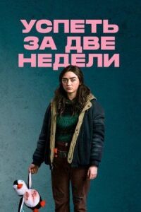 Успеть за две недели (2020)