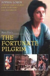 Счастливая странница (1988)