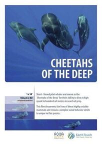 Постер к Дельфины — гепарды морских глубин бесплатно
