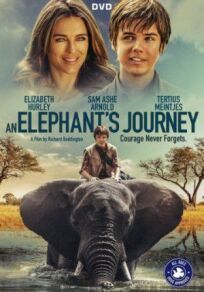 Постер к Большое путешествие слона бесплатно