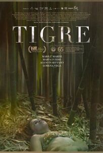 Постер к Тигр бесплатно