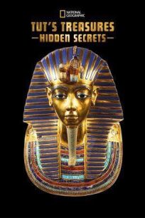 Постер к Сокровища Тутанхамона бесплатно