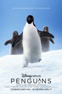 Постер к Пингвины бесплатно