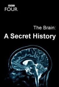Постер к Мозг: Тайны сознания бесплатно