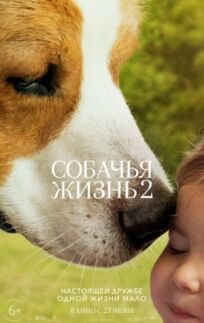 Постер к Собачья жизнь 2 бесплатно