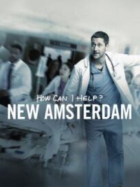 Постер к Новый Амстердам бесплатно