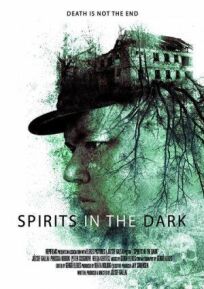 Постер к Spirits in the Dark бесплатно