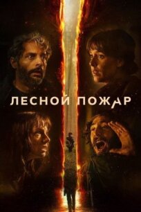 Лесной пожар (2026)