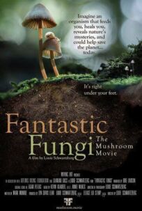 Постер к Фантастические грибы бесплатно