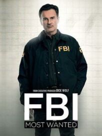 Постер к ФБР: Самые разыскиваемые преступники бесплатно