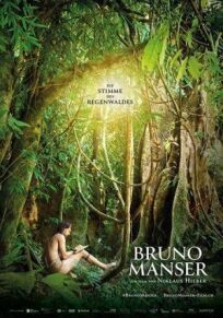 Постер к Бруно Мансер - Голос тропического леса бесплатно