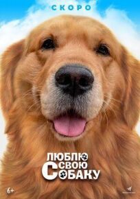 Постер к Люблю свою собаку бесплатно