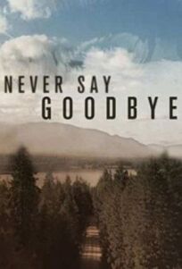 Постер к Никогда не говори "прощай" бесплатно
