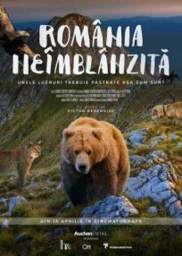 Постер к Дикая Румыния бесплатно