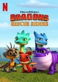 Постер к Dragons: Rescue Riders бесплатно