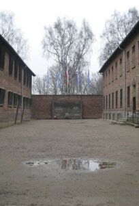 Сделано в Освенциме: Нерассказанная история блока номер десять