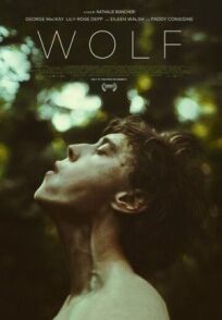 Постер к Волк бесплатно
