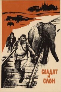 Постер к Солдат и слон бесплатно