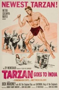 Постер к Тарзан едет в Индию бесплатно
