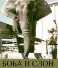 Постер к Боба и слон бесплатно