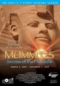 Постер к Мумии: Секреты фараонов 3D бесплатно