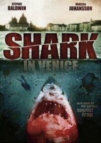 Постер к Акула в Венеции бесплатно