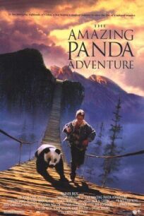 Постер к Удивительное приключение панды бесплатно